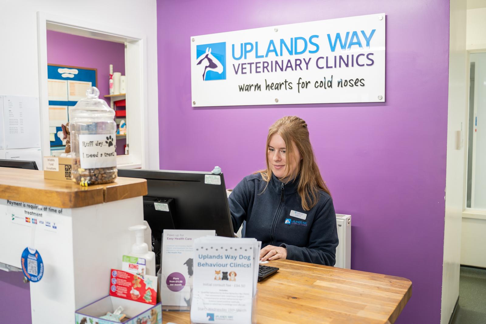 Uplands Way (Web) 135